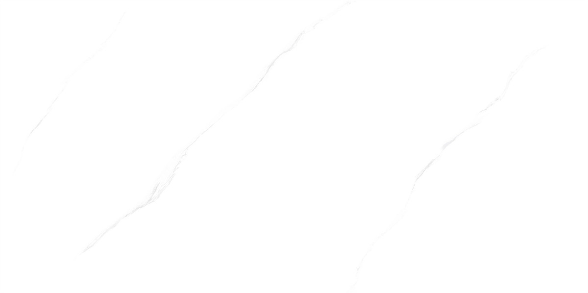 F84W501