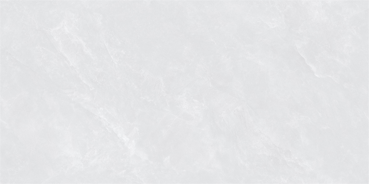 F84W505_02
