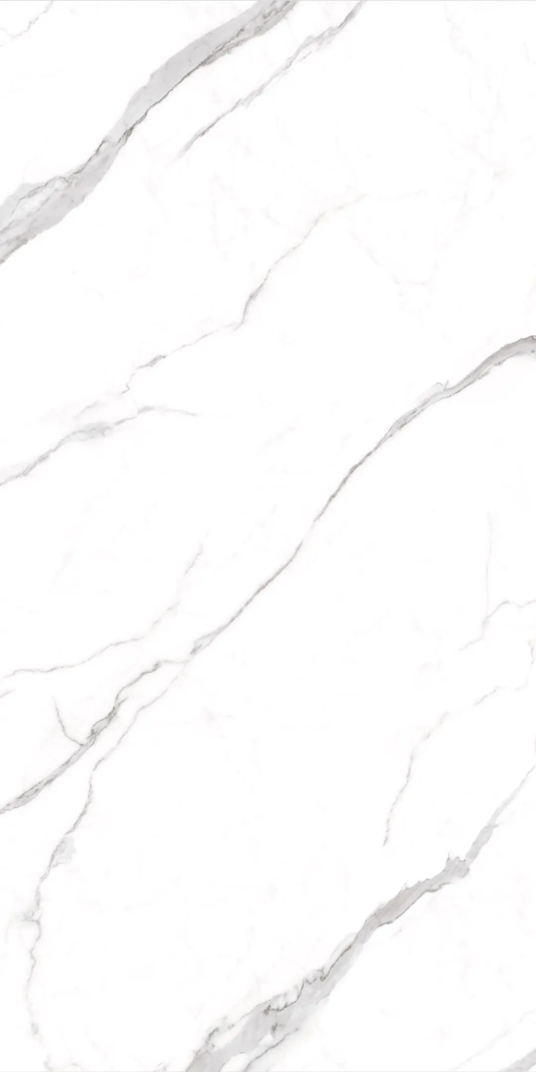 1600054299585584.jpg 640wx_fmt=jpeg&tp=webp&wxfrom=5&wx_lazy=1&wx_co=1.jpg