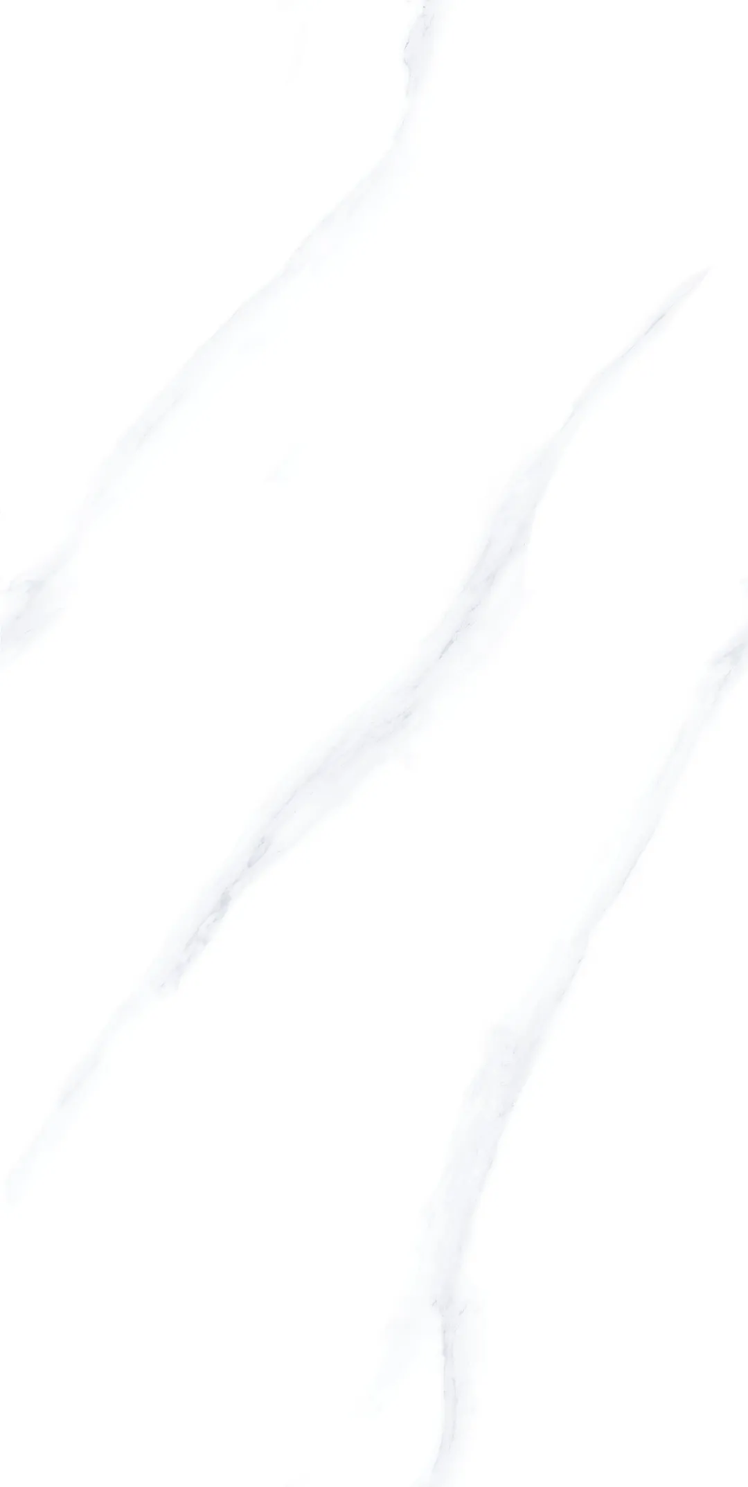 1600066738560921.jpg 640wx_fmt=jpeg&tp=webp&wxfrom=5&wx_lazy=1&wx_co=1.jpg