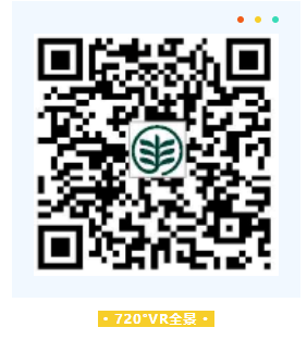 1629248809135517.png image.png