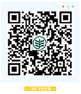1629248903965028.png image.png