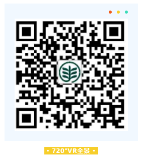 1629249097825821.png image.png